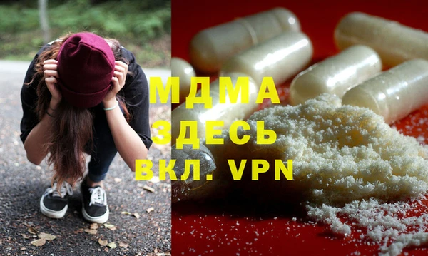 ГАЛЛЮЦИНОГЕННЫЕ ГРИБЫ Дмитриев