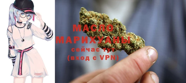 ГАЛЛЮЦИНОГЕННЫЕ ГРИБЫ Дмитриев