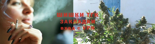 дживик Гусь-Хрустальный