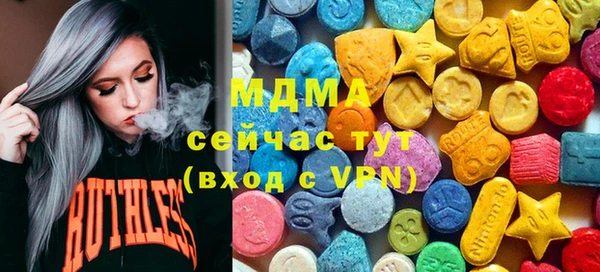 ГАЛЛЮЦИНОГЕННЫЕ ГРИБЫ Дмитриев