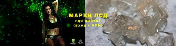 ГАЛЛЮЦИНОГЕННЫЕ ГРИБЫ Дмитриев