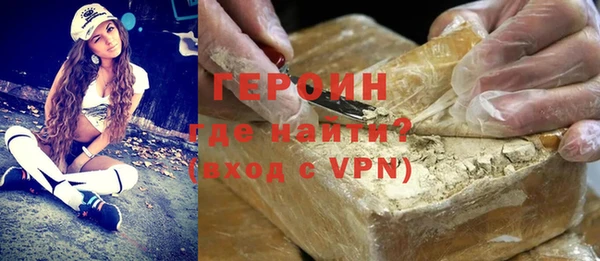ГАЛЛЮЦИНОГЕННЫЕ ГРИБЫ Дмитриев