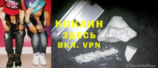 ГАЛЛЮЦИНОГЕННЫЕ ГРИБЫ Дмитриев
