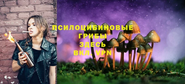 ГАЛЛЮЦИНОГЕННЫЕ ГРИБЫ Дмитриев