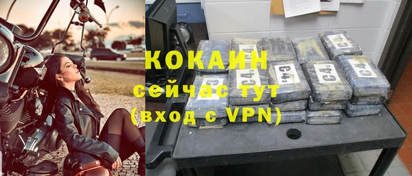 ГАЛЛЮЦИНОГЕННЫЕ ГРИБЫ Дмитриев