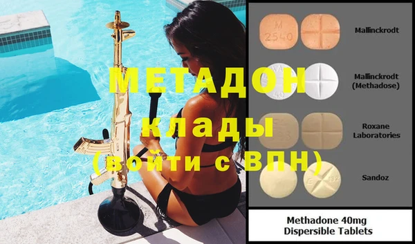 ГАЛЛЮЦИНОГЕННЫЕ ГРИБЫ Дмитриев