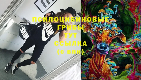 ГАЛЛЮЦИНОГЕННЫЕ ГРИБЫ Дмитриев