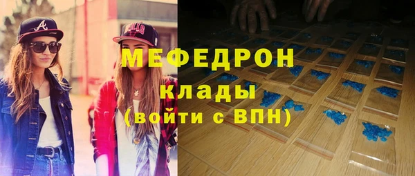 ГАЛЛЮЦИНОГЕННЫЕ ГРИБЫ Дмитриев