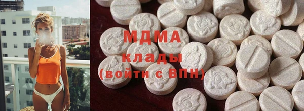 ГАЛЛЮЦИНОГЕННЫЕ ГРИБЫ Дмитриев
