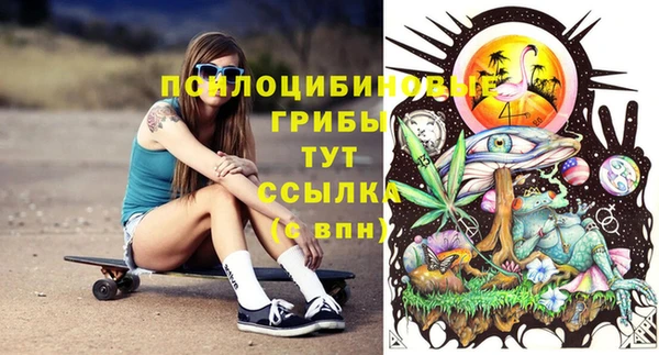 ГАЛЛЮЦИНОГЕННЫЕ ГРИБЫ Дмитриев