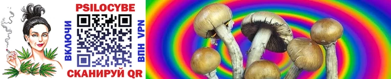 OMG ССЫЛКА  Дзержинск  Псилоцибиновые грибы прущие грибы  купить наркоту 
